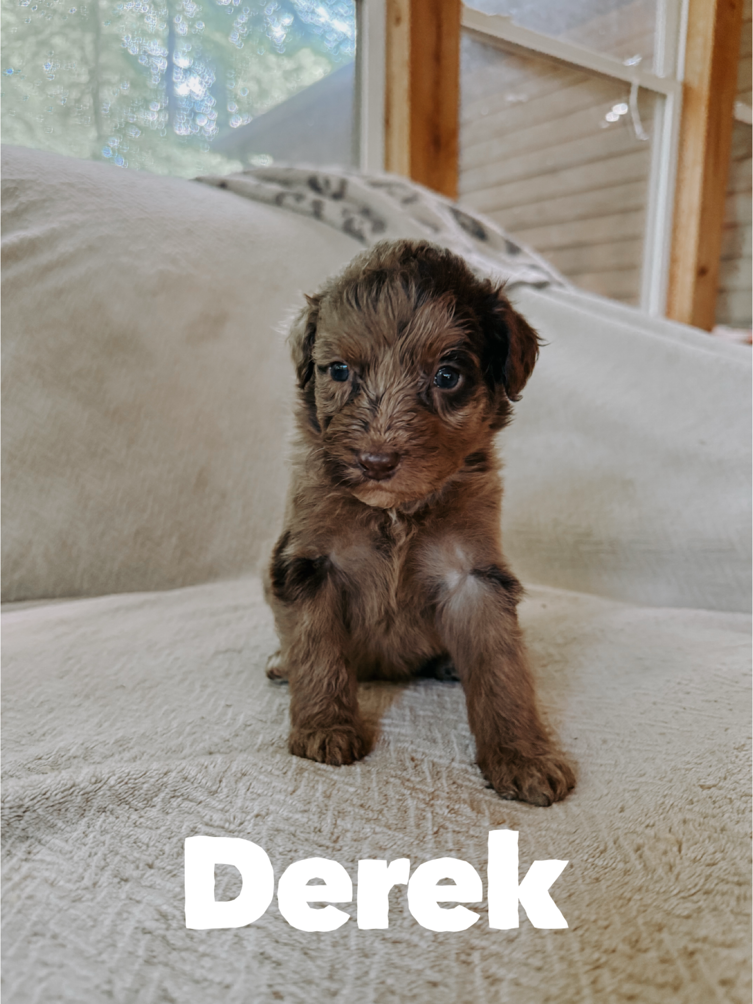 Derek  1